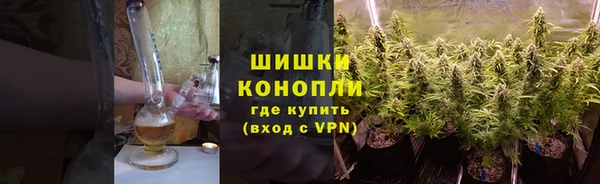 тгк Каменка