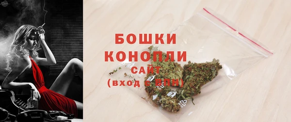 тгк Каменка