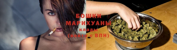 тгк Каменка