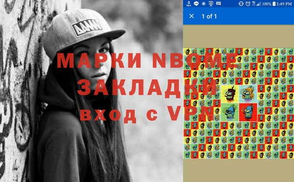 тгк Каменка