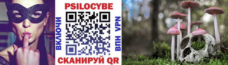 Купить где  Кадников  Псилоцибиновые грибы MAGIC MUSHROOMS 